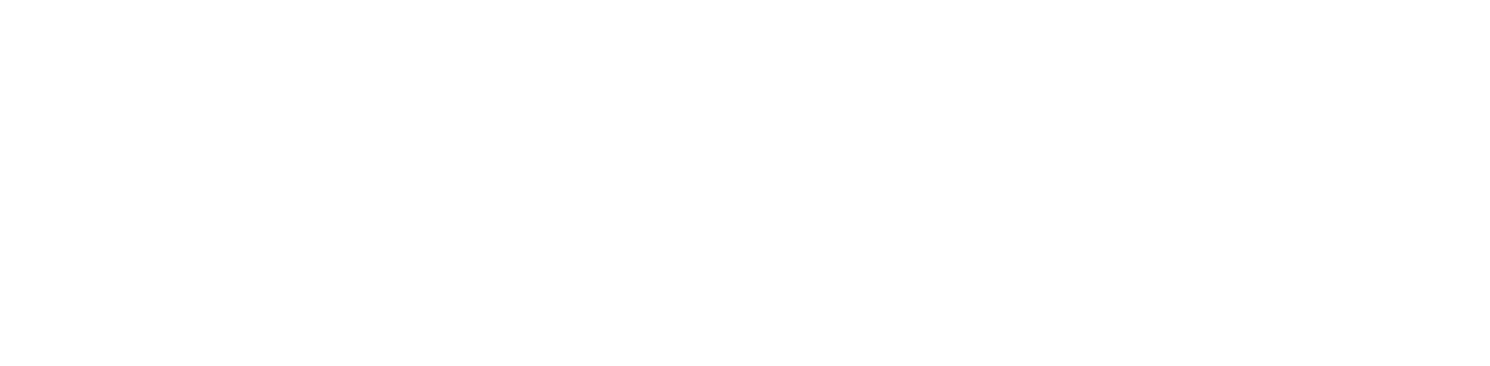 Site logo dark